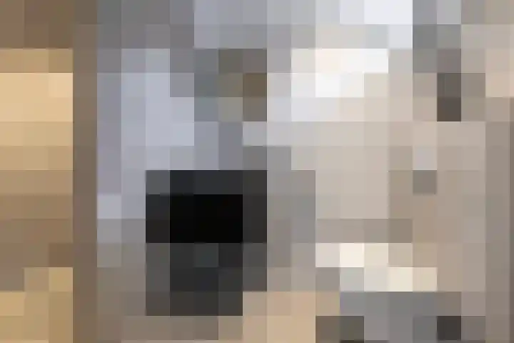 Burgemeester Patijnlaan 131 Zeist thumbnail 23