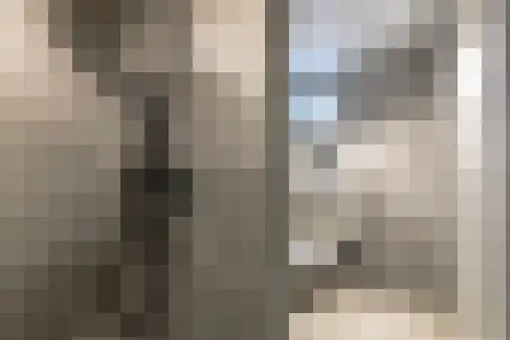 Burgemeester Patijnlaan 131 Zeist thumbnail 24