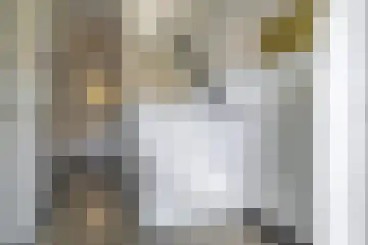 Burgemeester Patijnlaan 131 Zeist thumbnail 27