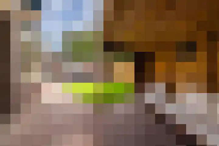 Burgemeester Patijnlaan 131 Zeist thumbnail 38