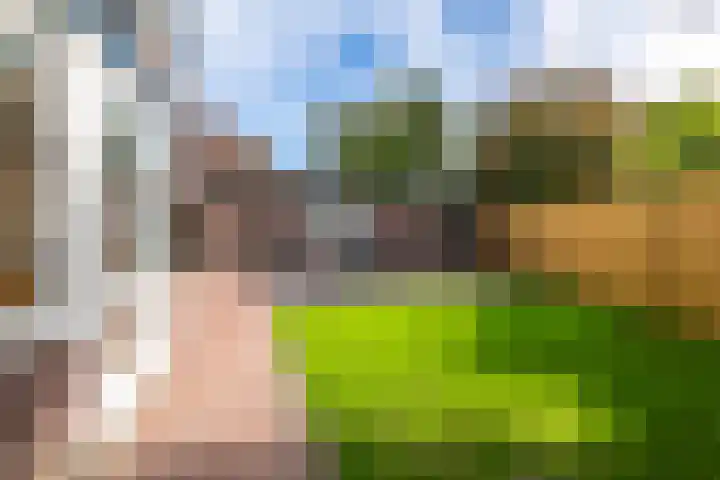 Burgemeester Patijnlaan 131 Zeist thumbnail 39