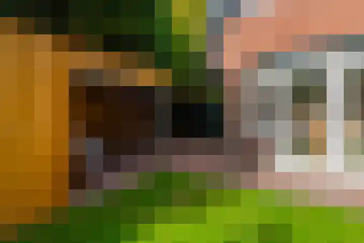 Burgemeester Patijnlaan 131 Zeist thumbnail 43