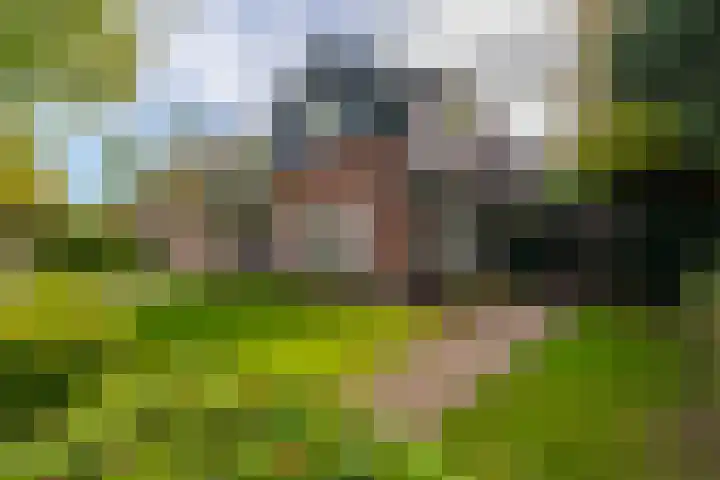 Burgemeester Patijnlaan 131 Zeist thumbnail 46