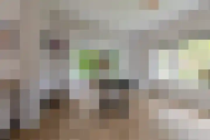 Burgemeester Patijnlaan 131 Zeist thumbnail 8