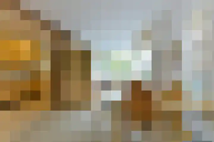 Burgemeester Patijnlaan 156 Zeist thumbnail 13