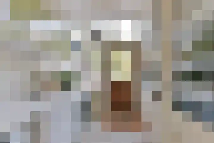 Burgemeester Patijnlaan 156 Zeist thumbnail 17