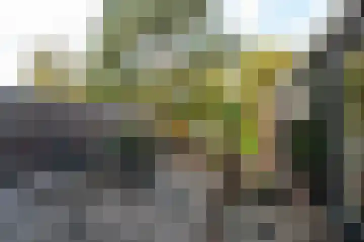 Burgemeester Patijnlaan 156 Zeist thumbnail 22