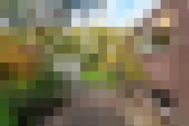 Burgemeester Patijnlaan 156 Zeist thumbnail 23