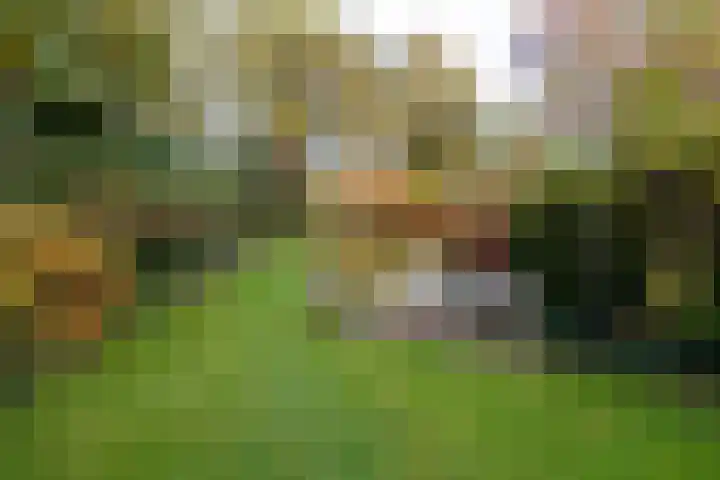 Burgemeester Patijnlaan 156 Zeist thumbnail 24