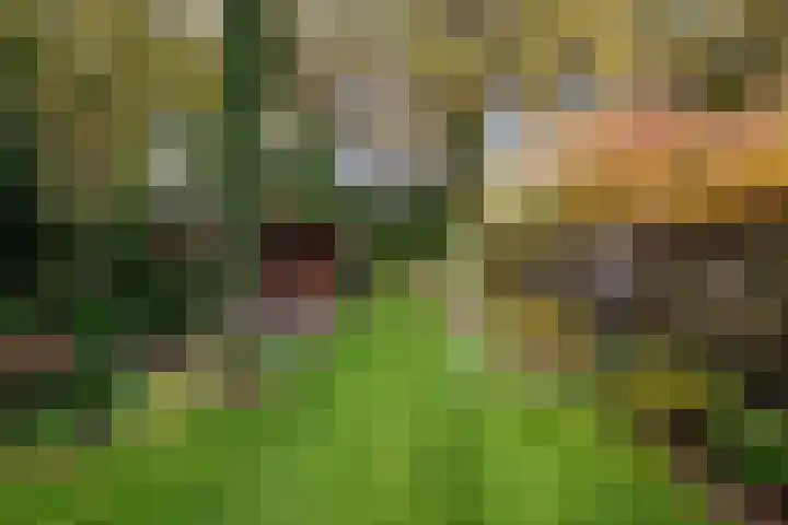 Burgemeester Patijnlaan 156 Zeist thumbnail 25