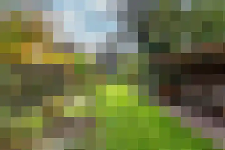 Burgemeester Patijnlaan 156 Zeist thumbnail 26