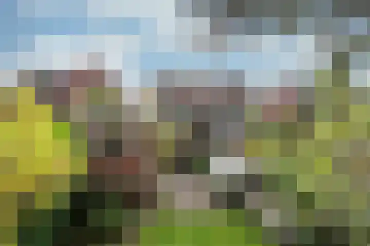 Burgemeester Patijnlaan 156 Zeist thumbnail 27