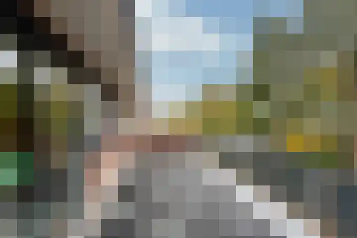 Burgemeester Patijnlaan 156 Zeist thumbnail 34