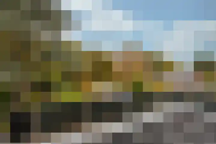 Burgemeester Patijnlaan 156 Zeist thumbnail 35