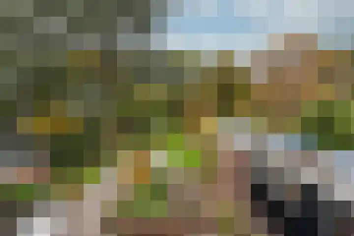 Burgemeester Patijnlaan 156 Zeist thumbnail 36