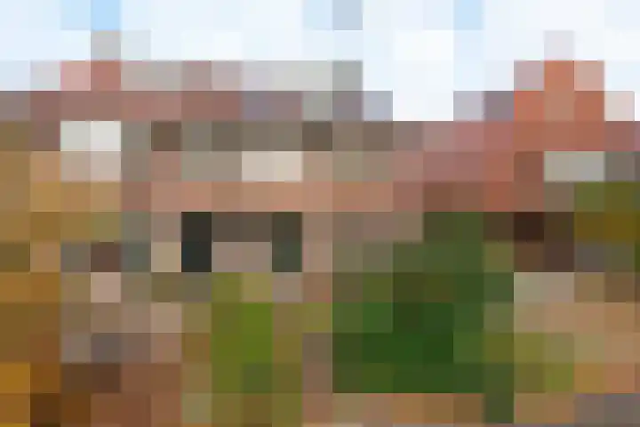 Burgemeester Patijnlaan 156 Zeist thumbnail 4