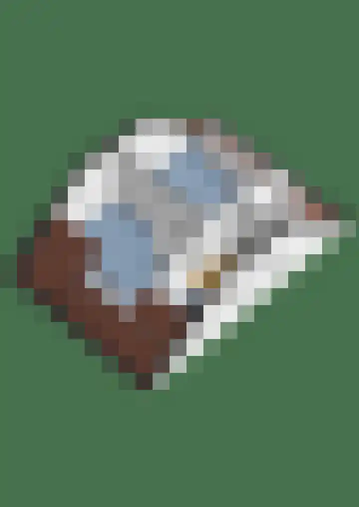 Burgemeester Patijnlaan 156 Zeist thumbnail 53