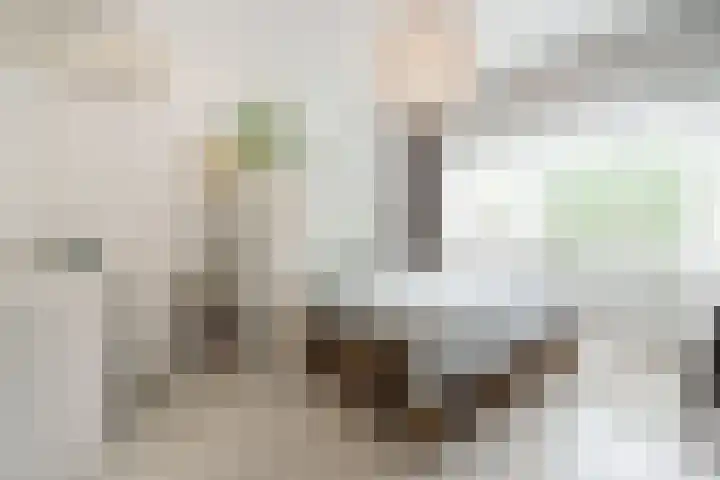 Burgemeester Patijnlaan 172 Zeist thumbnail 16