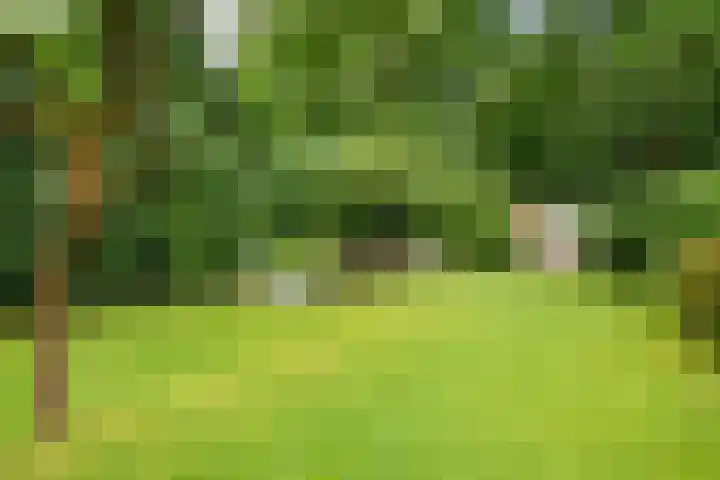 Burgemeester Patijnlaan 172 Zeist thumbnail 25