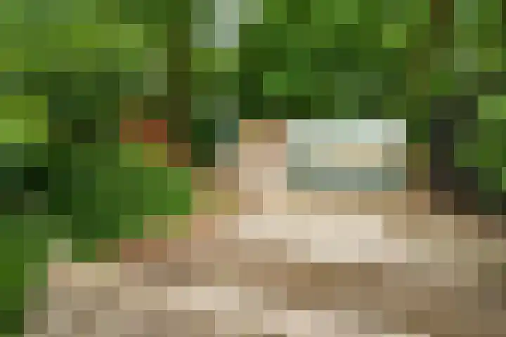 Burgemeester Patijnlaan 172 Zeist thumbnail 26