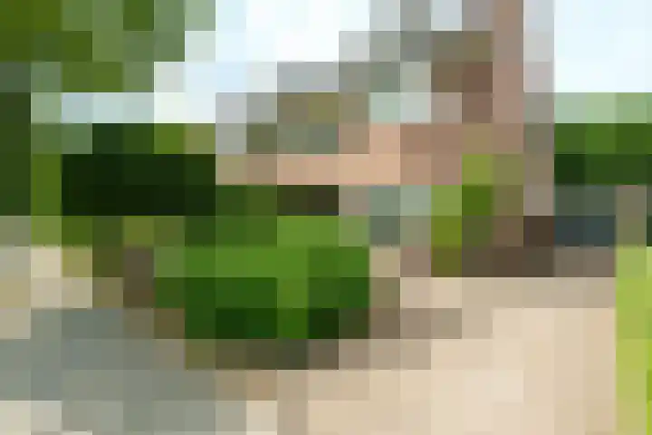 Burgemeester Patijnlaan 172 Zeist thumbnail 28
