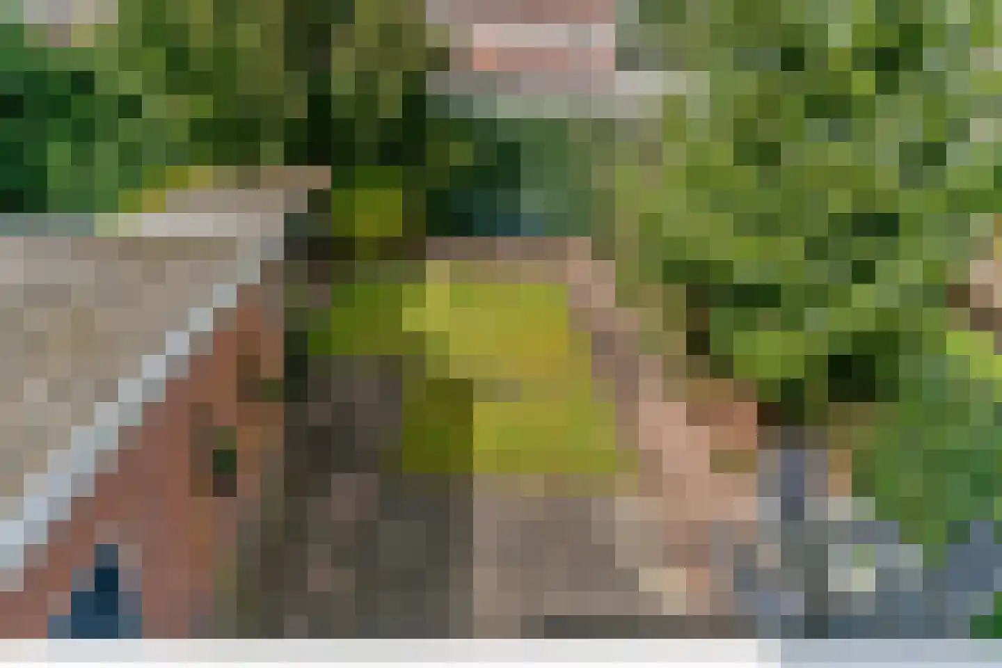 Burgemeester Patijnlaan 218 Zeist thumbnail 27