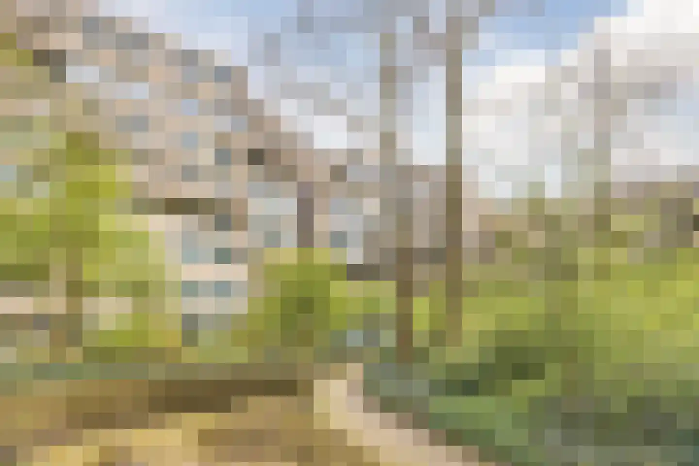 Burgemeester Patijnlaan 288 Den Haag thumbnail 27