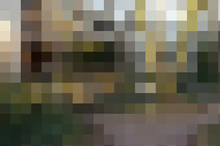 Burgemeester Patijnlaan 298 Den Haag thumbnail 4