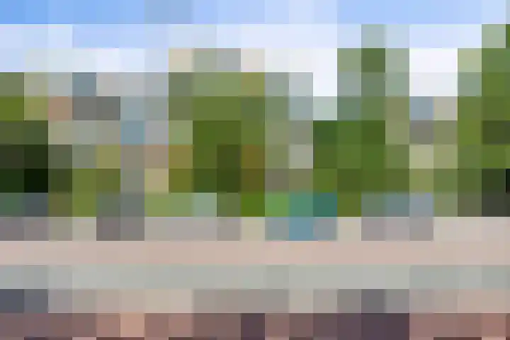 Burgemeester Patijnlaan 344 Den Haag thumbnail 4