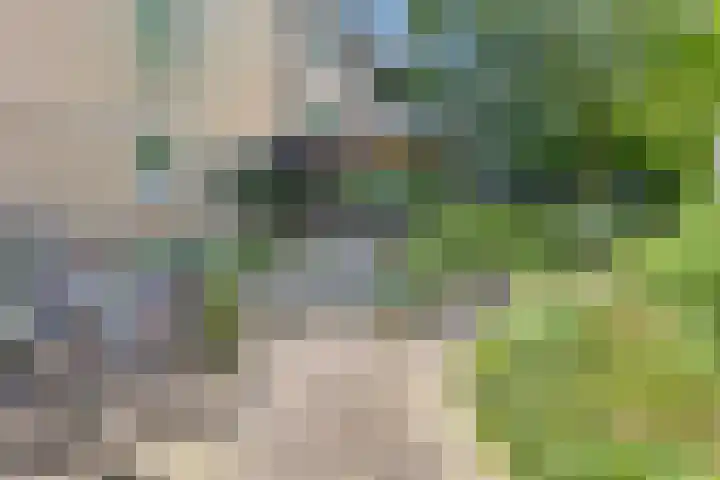 Burgemeester Patijnlaan 374 in Den Haag