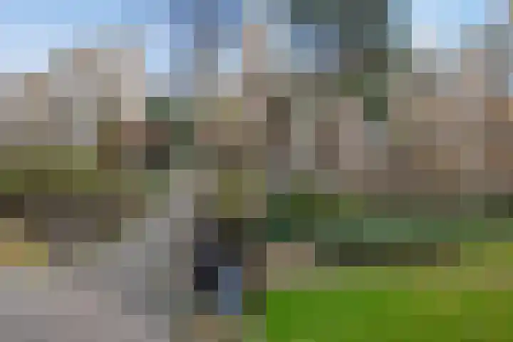 Burgemeester Patijnlaan 452 Den Haag thumbnail 30