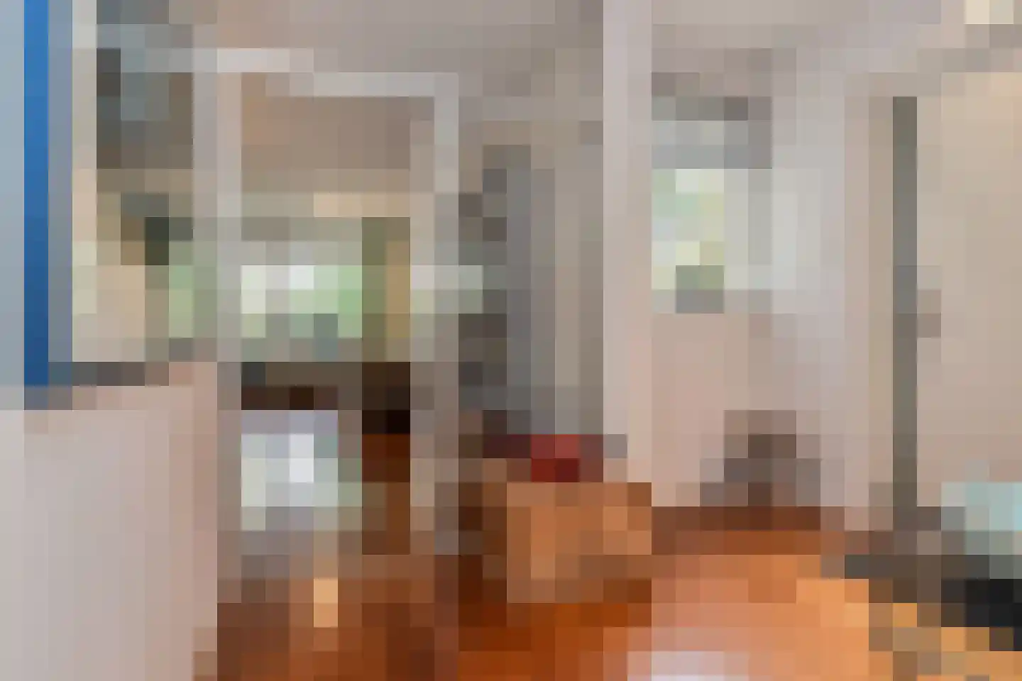 Burgemeester Patijnlaan 456 Den Haag thumbnail 12