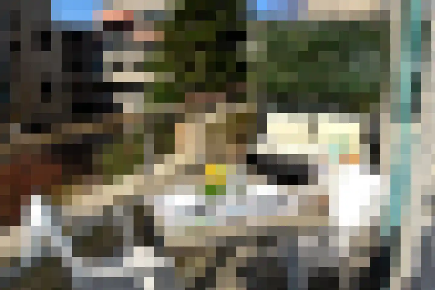 Burgemeester Patijnlaan 488 Den Haag thumbnail 5