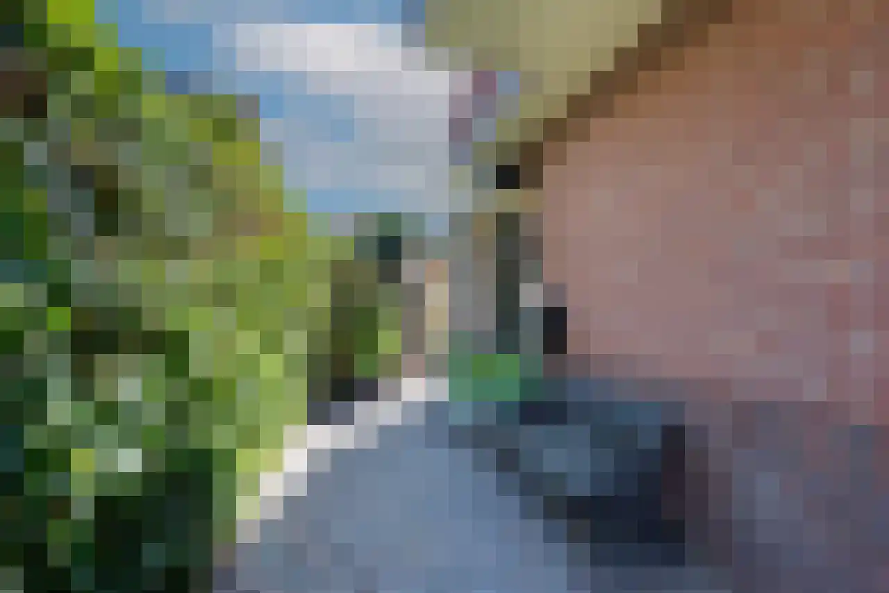 Burgemeester Patijnlaan 55 Zeist thumbnail 4