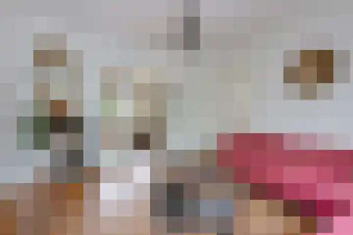 Burgemeester Patijnlaan 64 Zeist thumbnail 10