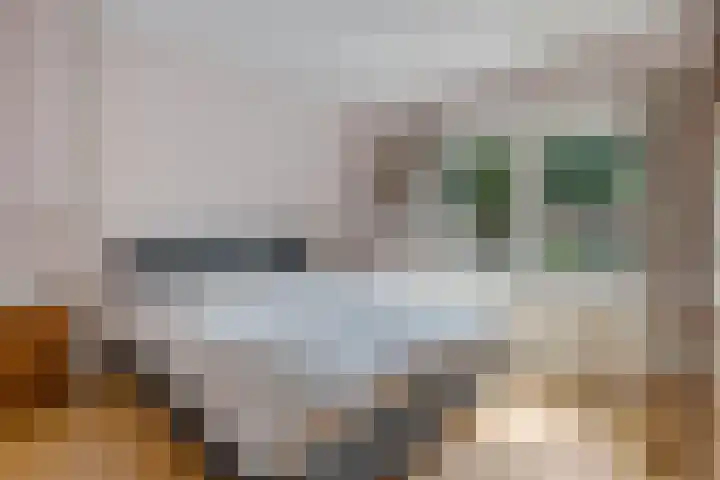 Burgemeester Patijnlaan 64 Zeist thumbnail 16
