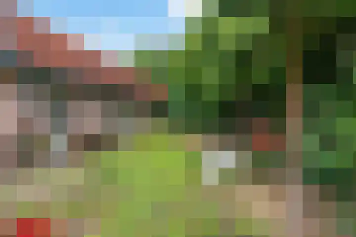 Burgemeester Patijnlaan 64 Zeist thumbnail 26