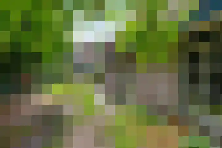 Burgemeester Patijnlaan 64 Zeist thumbnail 27