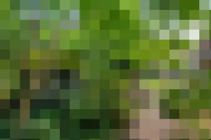 Burgemeester Patijnlaan 64 Zeist thumbnail 28