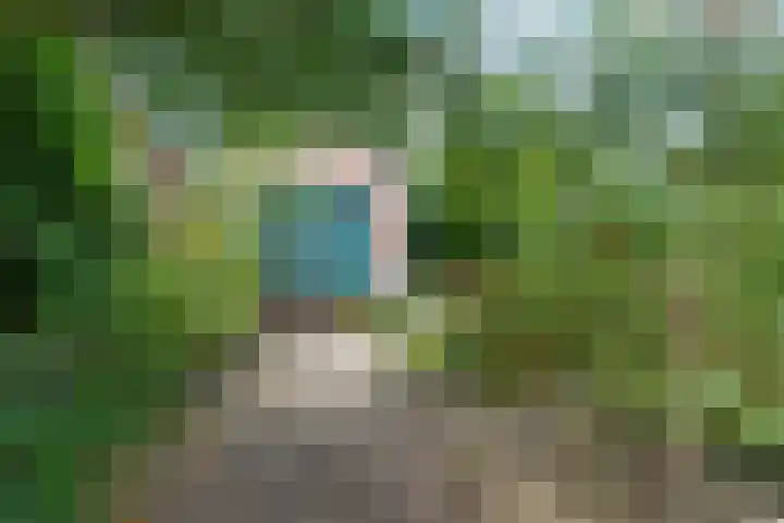 Burgemeester Patijnlaan 64 Zeist thumbnail 33