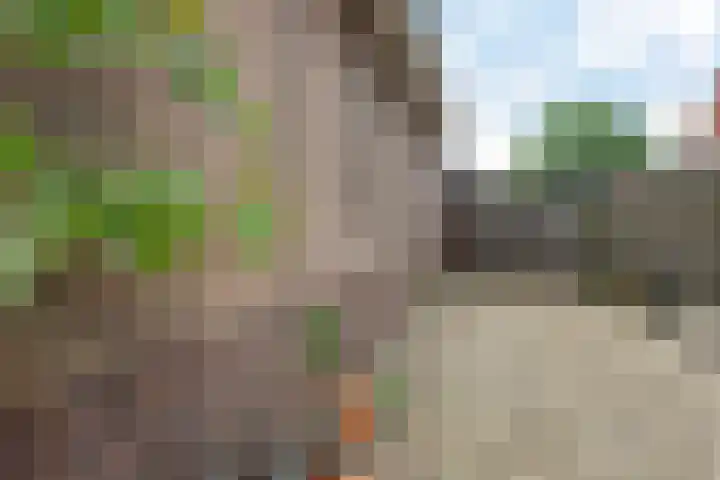 Burgemeester Patijnlaan 64 Zeist thumbnail 36