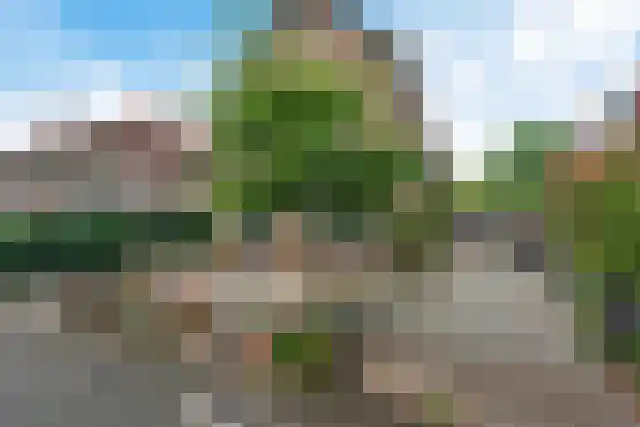 Burgemeester Patijnlaan 64 Zeist thumbnail 37