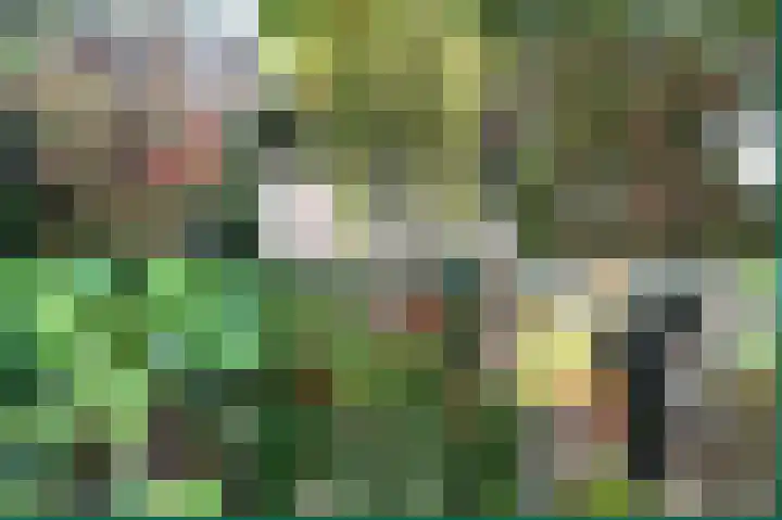 Burgemeester Patijnlaan 64 Zeist thumbnail 39