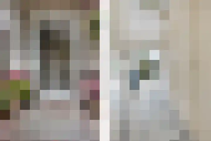 Burgemeester Patijnlaan 64 Zeist thumbnail 4