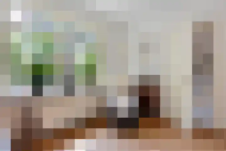 Burgemeester Patijnlaan 64 Zeist thumbnail 6
