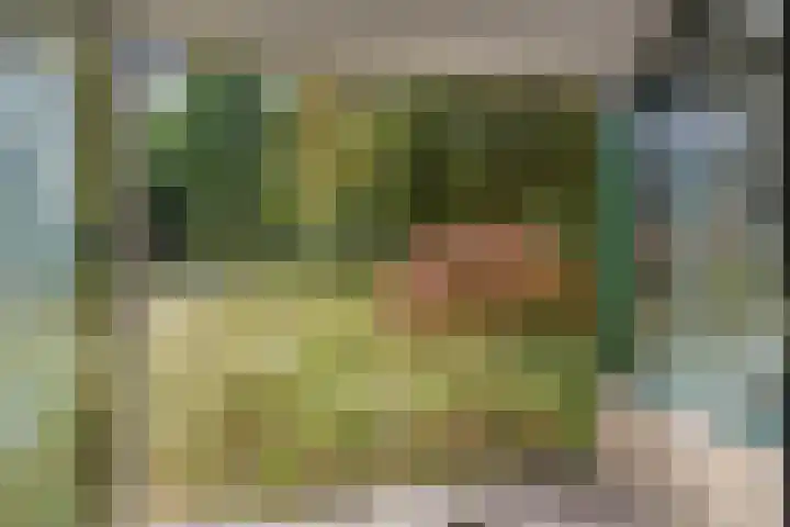 Burgemeester Patijnlaan 640 Den Haag thumbnail 6