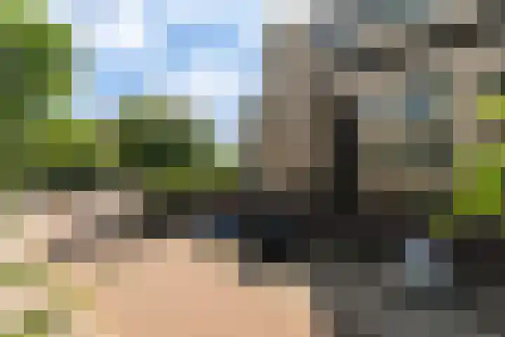 Burgemeester Patijnlaan 656 Den Haag thumbnail 22