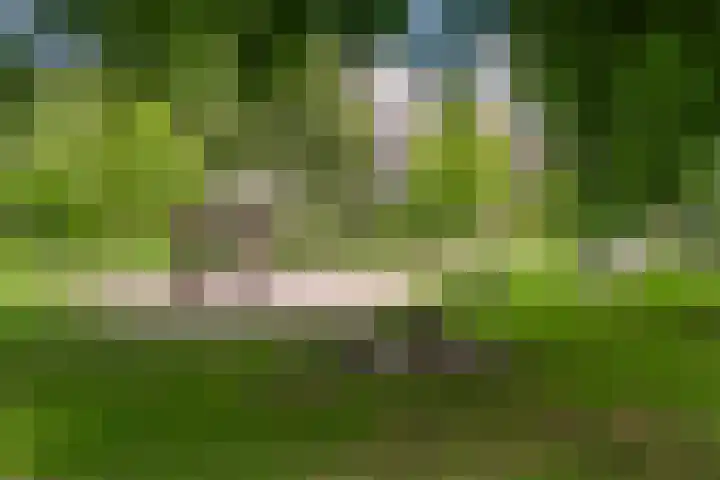 Burgemeester Patijnlaan 656 Den Haag thumbnail 23