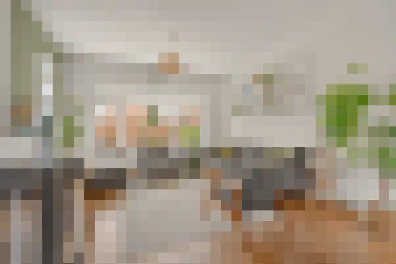 Burgemeester Patijnlaan 66 Zeist thumbnail 5