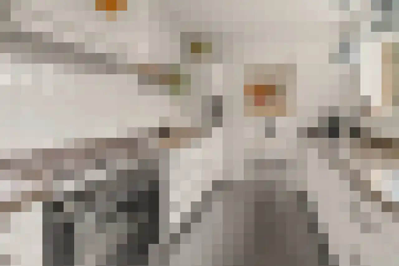 Burgemeester Patijnlaan 66 Zeist thumbnail 8